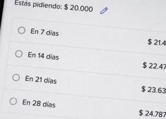 Endeudamiento familiar y morosidad en Argentina ante el crecimiento de las deudas para cubrir alimentos, salud, educación y alquileres