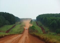 Movilización en Posadas contra la extranjerización de tierras y en defensa de la soberanía, convocada por la Multisectorial por la Soberanía de Misiones.