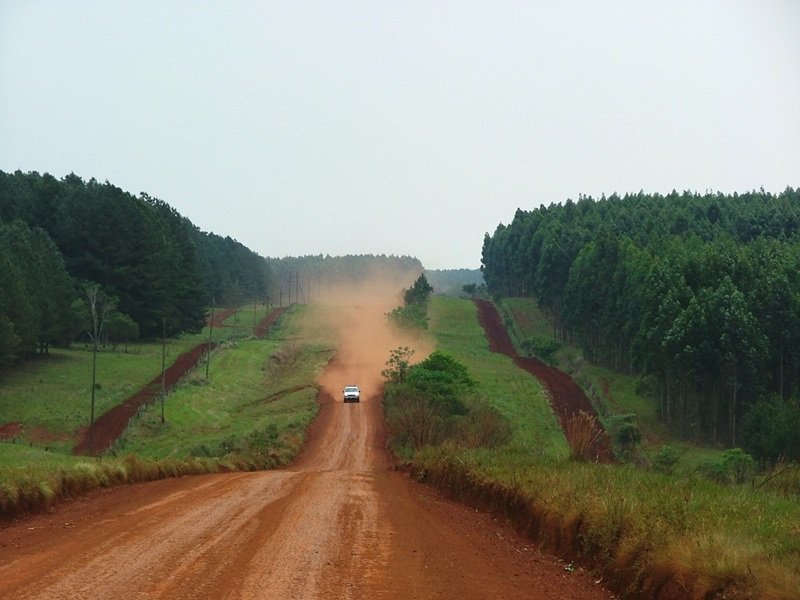 Movilización en Posadas contra la extranjerización de tierras y en defensa de la soberanía, convocada por la Multisectorial por la Soberanía de Misiones.