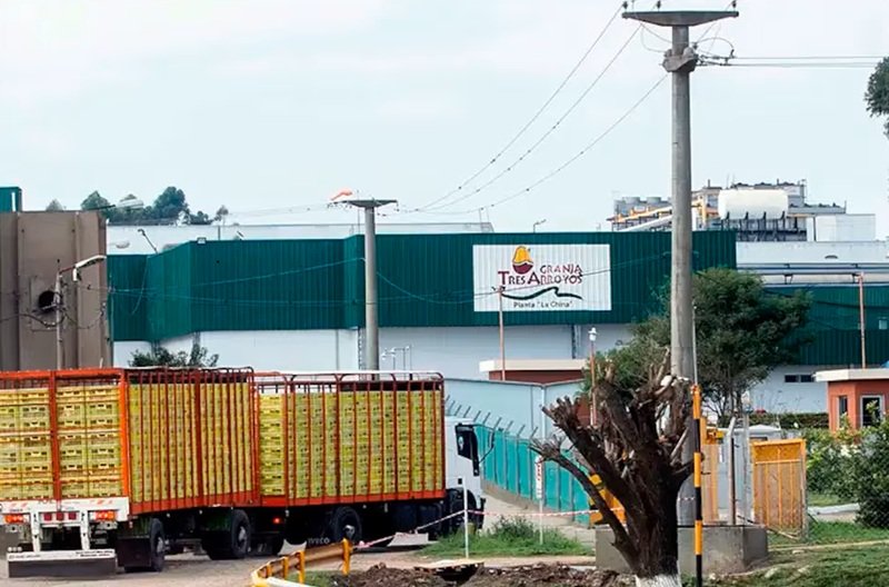 Trabajadores de Granja Tres Arroyos ante la crisis que pone en riesgo 7.000 puestos de trabajo