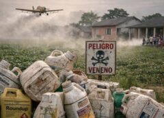 Cáncer infantil, arsénico y agroquímicos en la Región Centro de Argentina