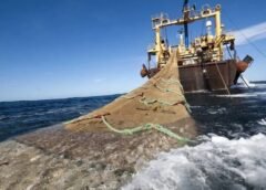 Pesca ilegal en Malvinas y proyecto de Ley de Defensa de la Soberanía Nacional