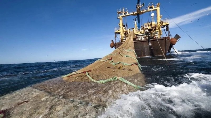 Pesca ilegal en Malvinas y proyecto de Ley de Defensa de la Soberanía Nacional