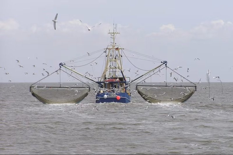 Pesca ilegal en Malvinas y demanda millonaria de la Fundación Agustina Lerena contra empresas pesqueras